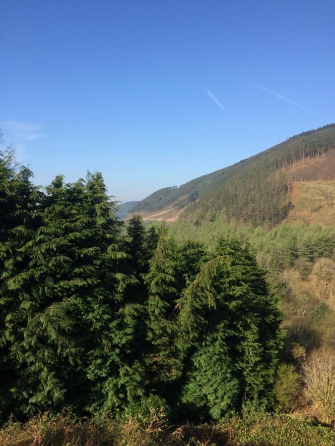 Rowan House Bed Breakfast Main House & Self Contained Self Catering Apartment Cymmer Bagian luar foto