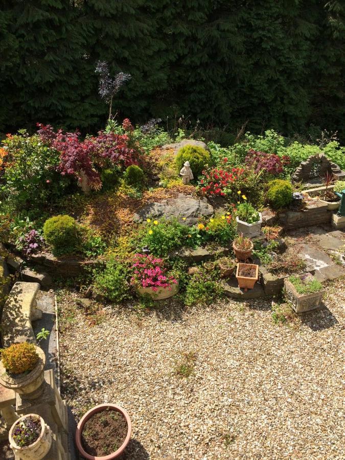 Rowan House Bed Breakfast Main House & Self Contained Self Catering Apartment Cymmer Bagian luar foto